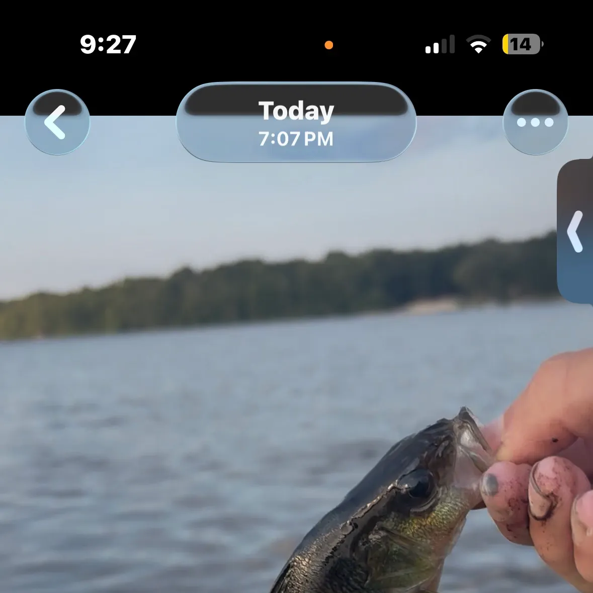 recently logged catches
