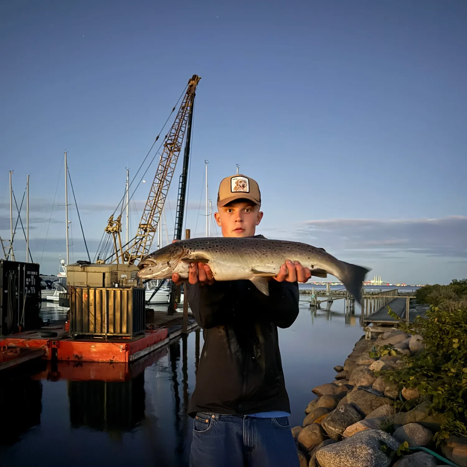 Atlantic salmon caught on Fishbrain