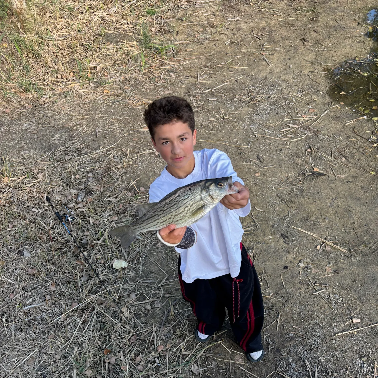 Wiper caught on Fishbrain
