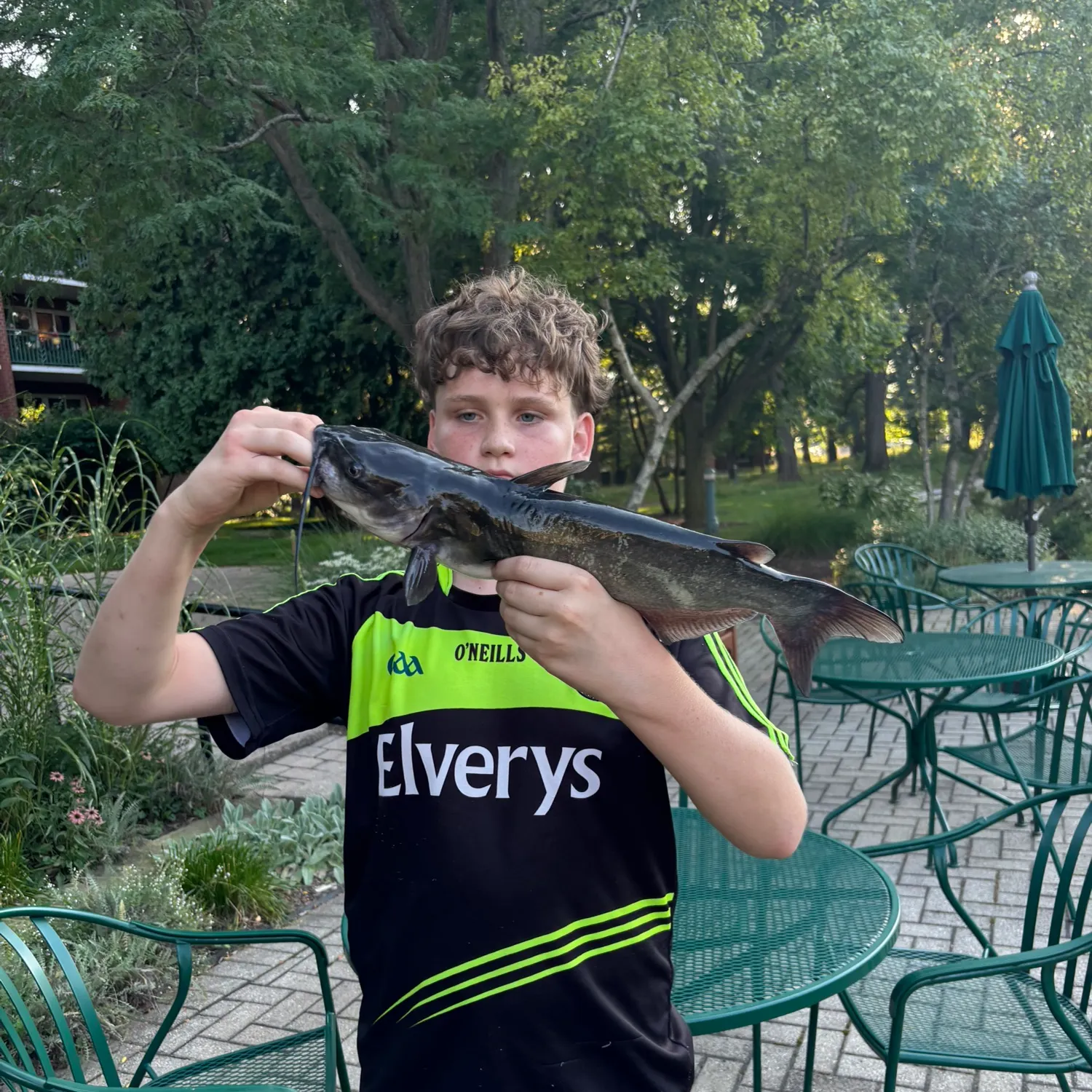 Channel catfish caught on Fishbrain