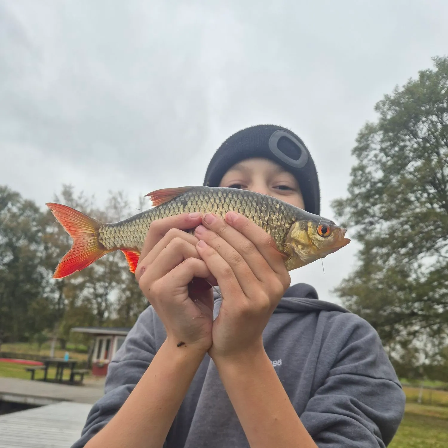 Fish caught on Fishbrain
