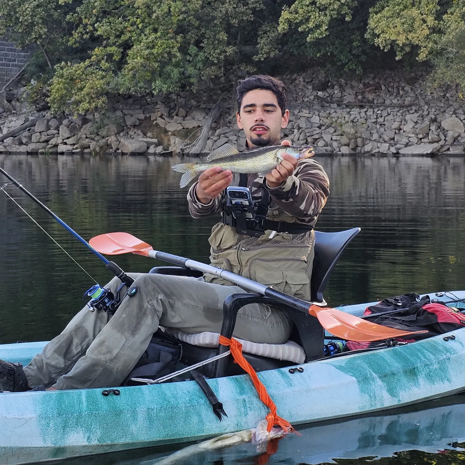 Zander caught on Fishbrain