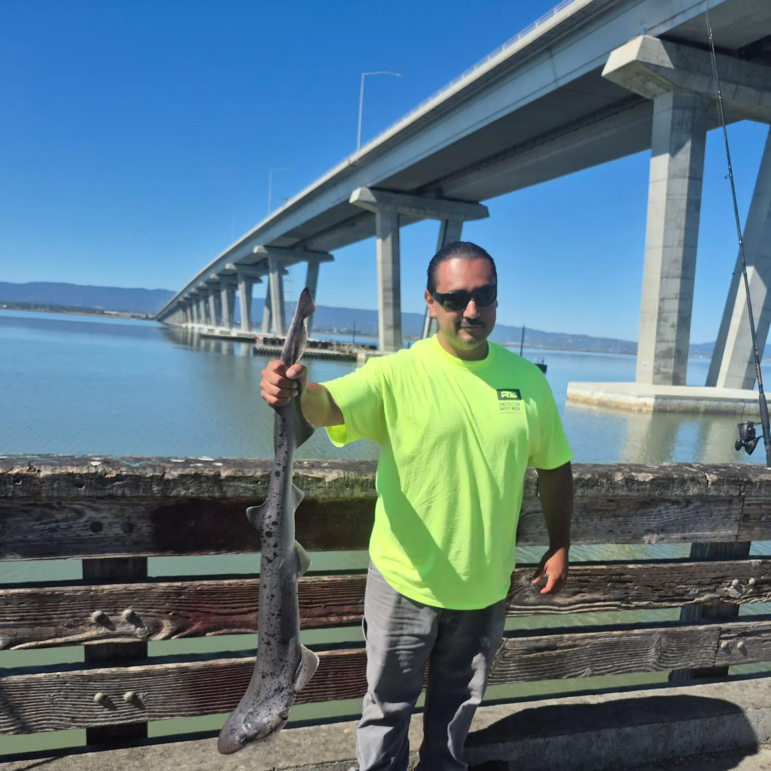 Broadnose sevengill shark caught on Fishbrain