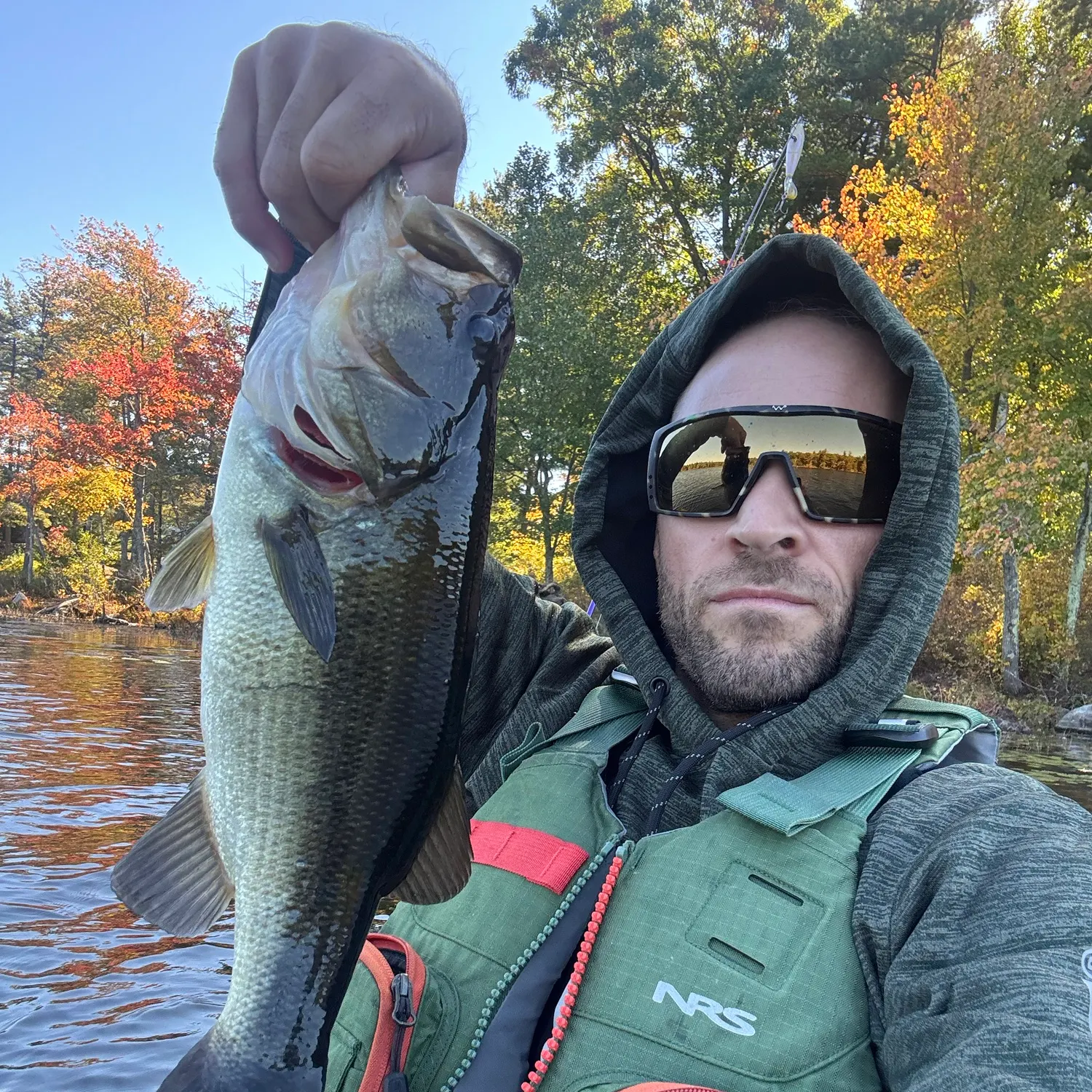 Largemouth bass caught on Fishbrain
