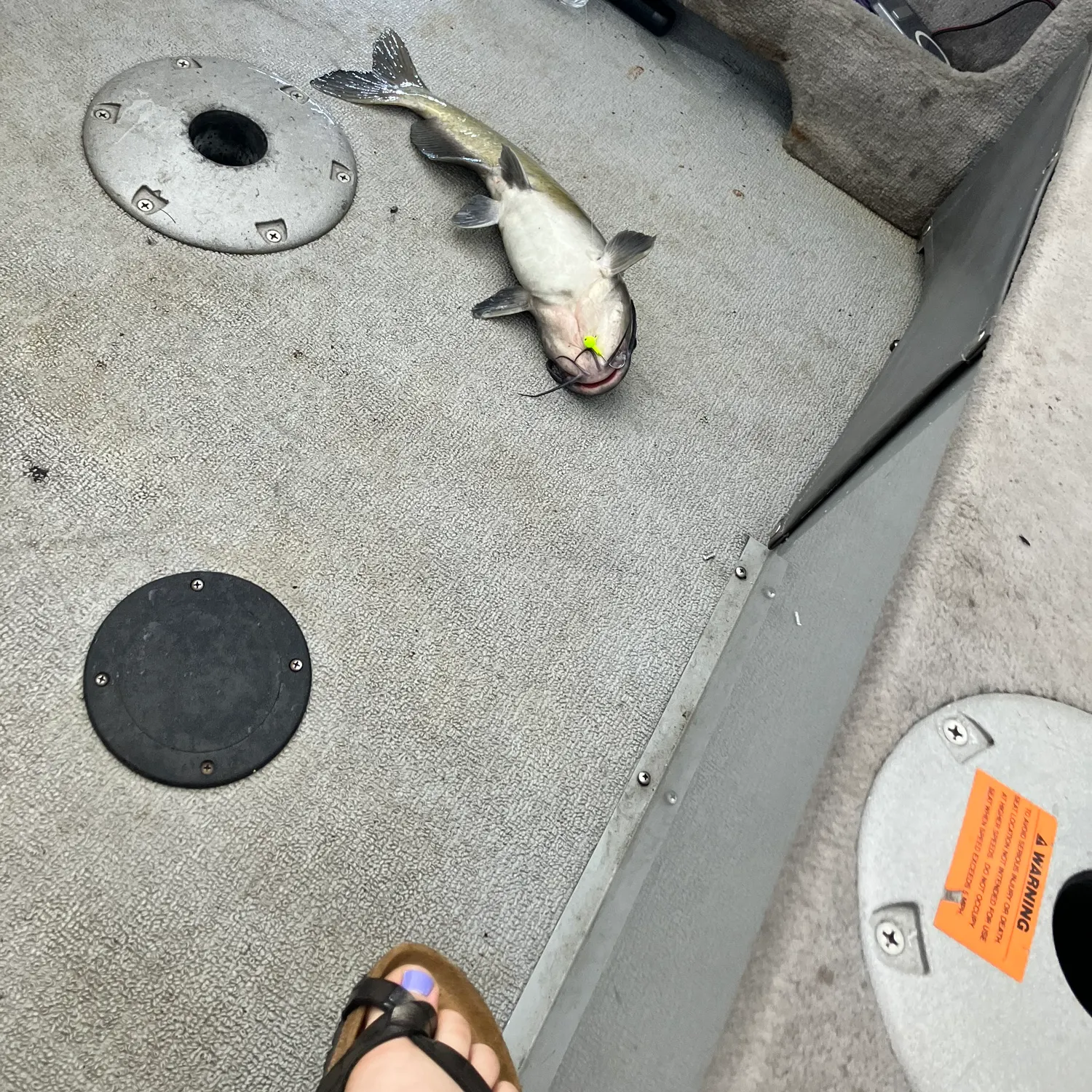 catch