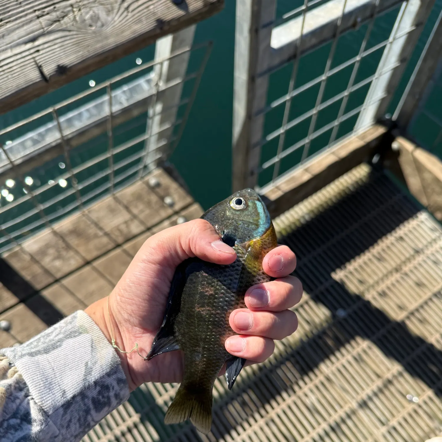 catch