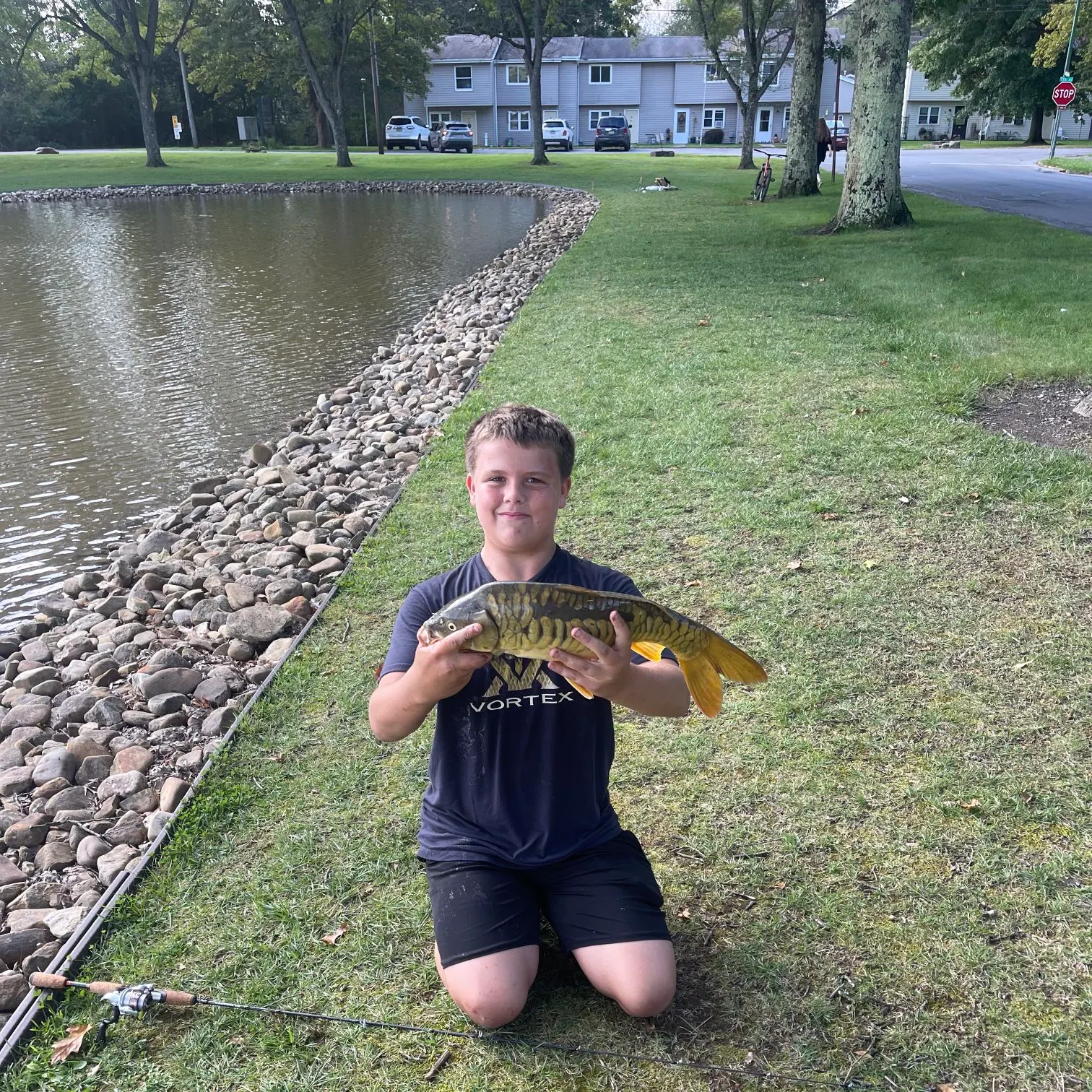 Mirror carp caught on Fishbrain
