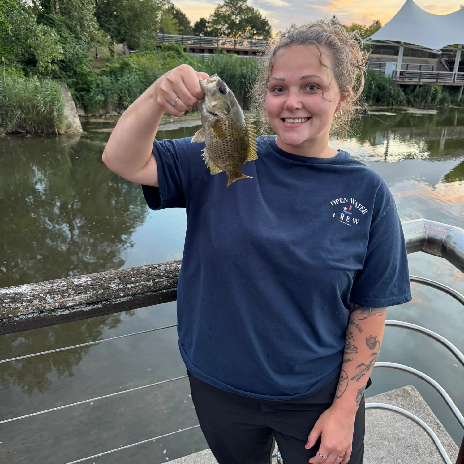 Rock bass caught on Fishbrain