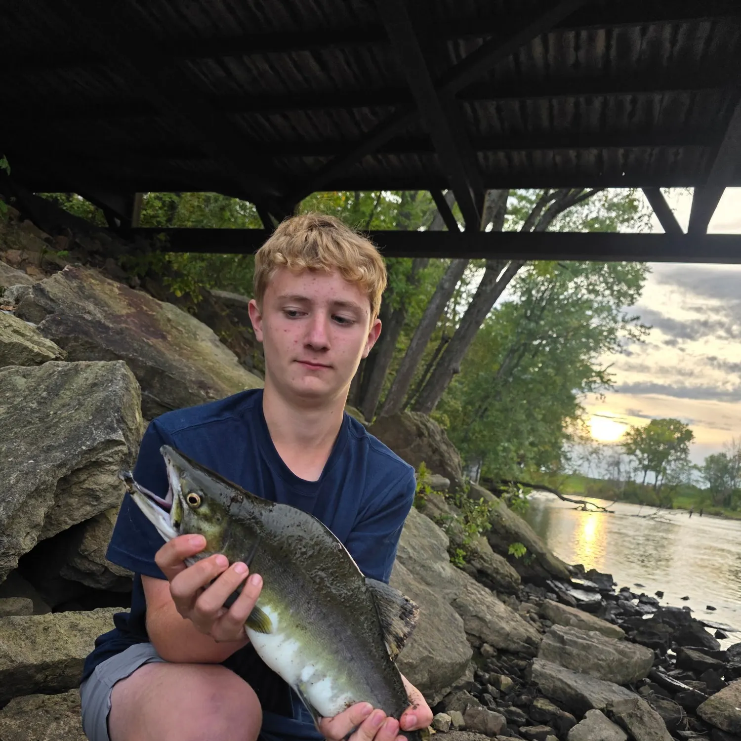 Pink salmon caught on Fishbrain