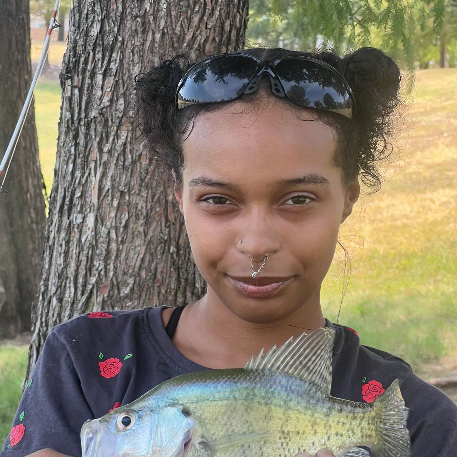 White crappie caught on Fishbrain