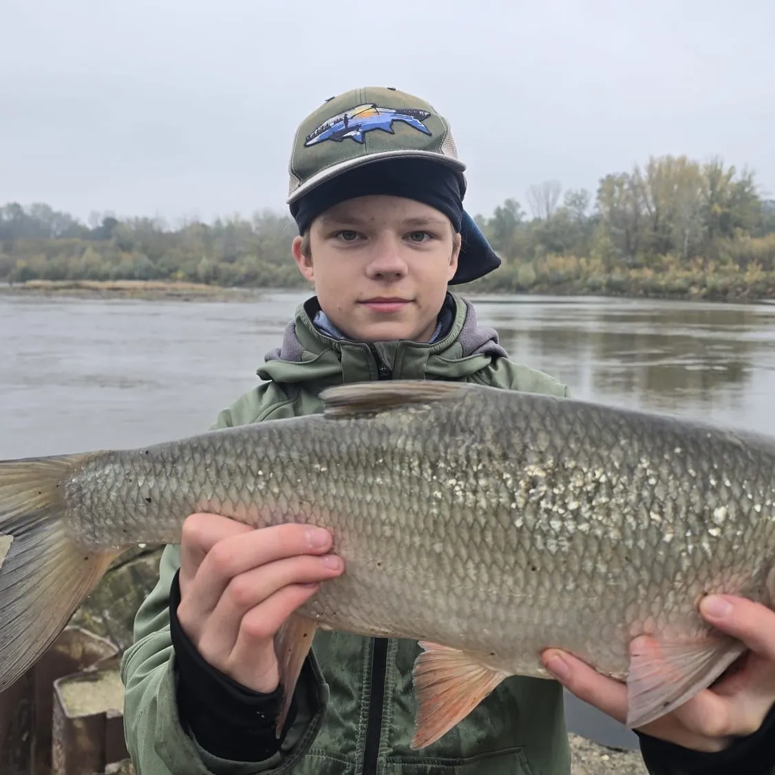 Asp caught on Fishbrain