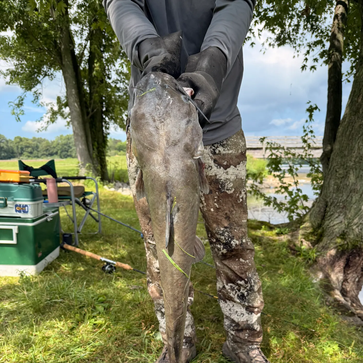 catch