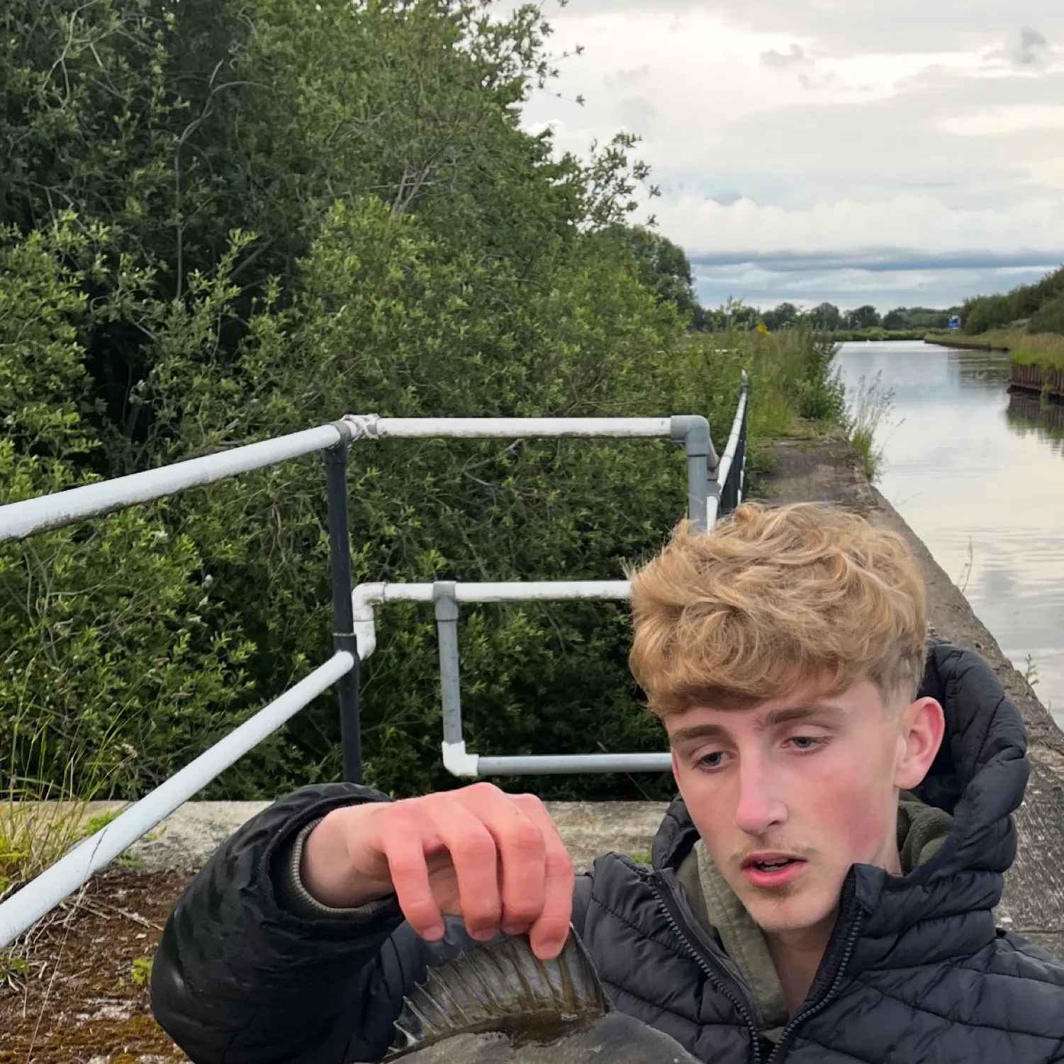 European perch caught on Fishbrain