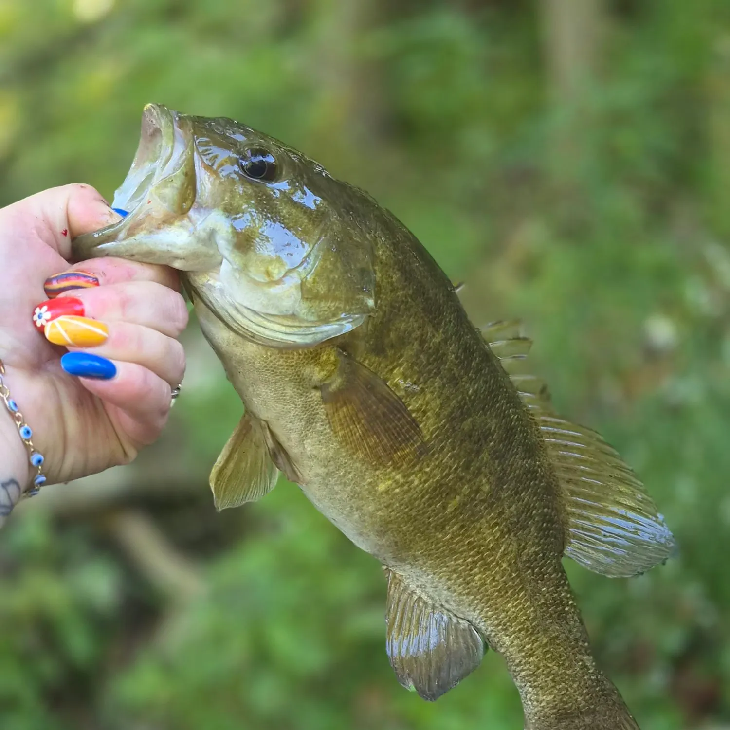 Smallmouth bass caught on Fishbrain