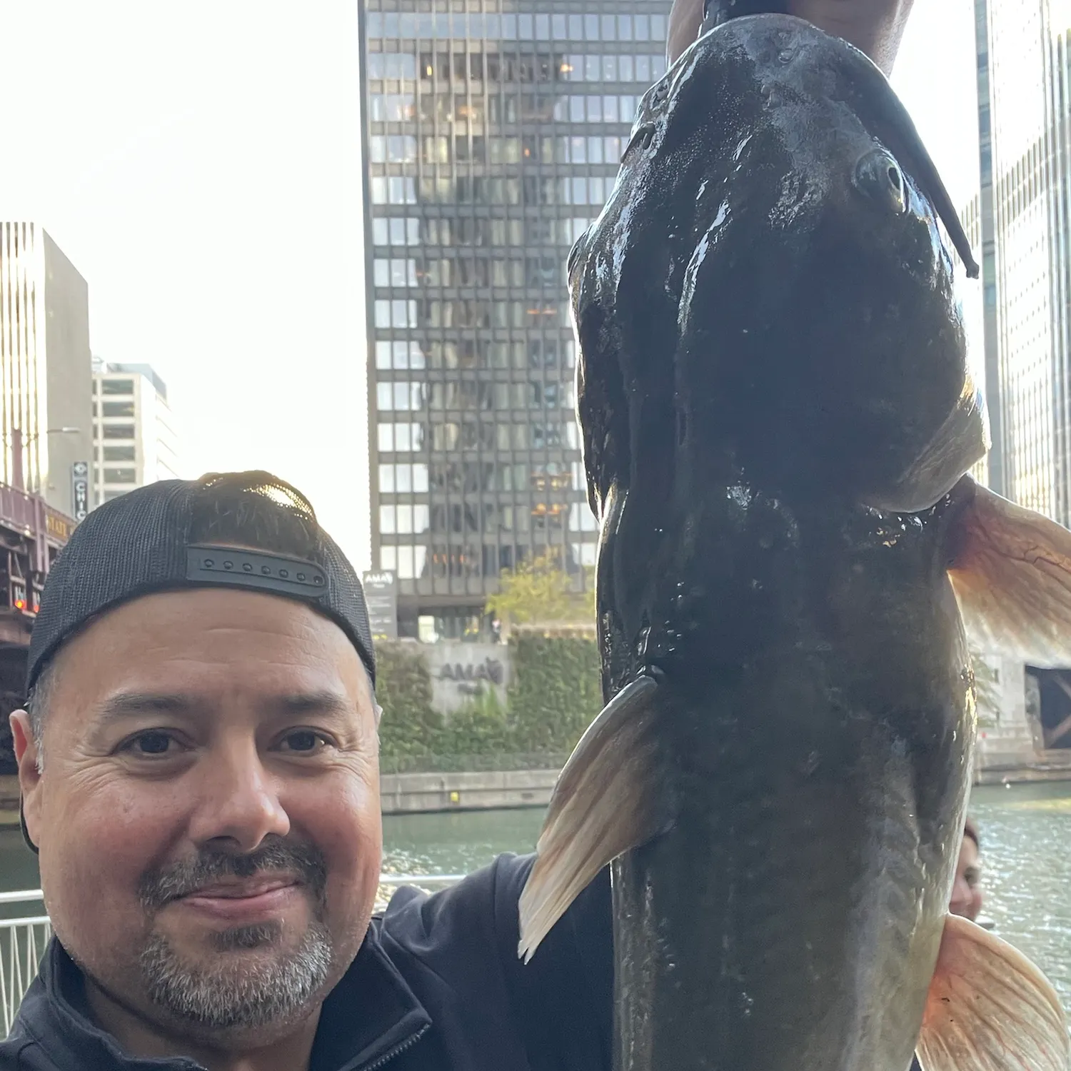 Channel catfish caught on Fishbrain