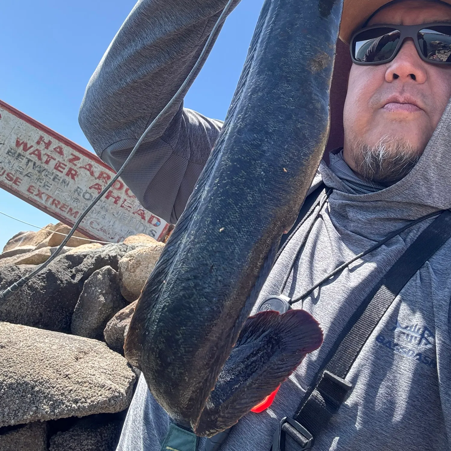 The most recent Monkeyface prickleback catches on Fishbrain
