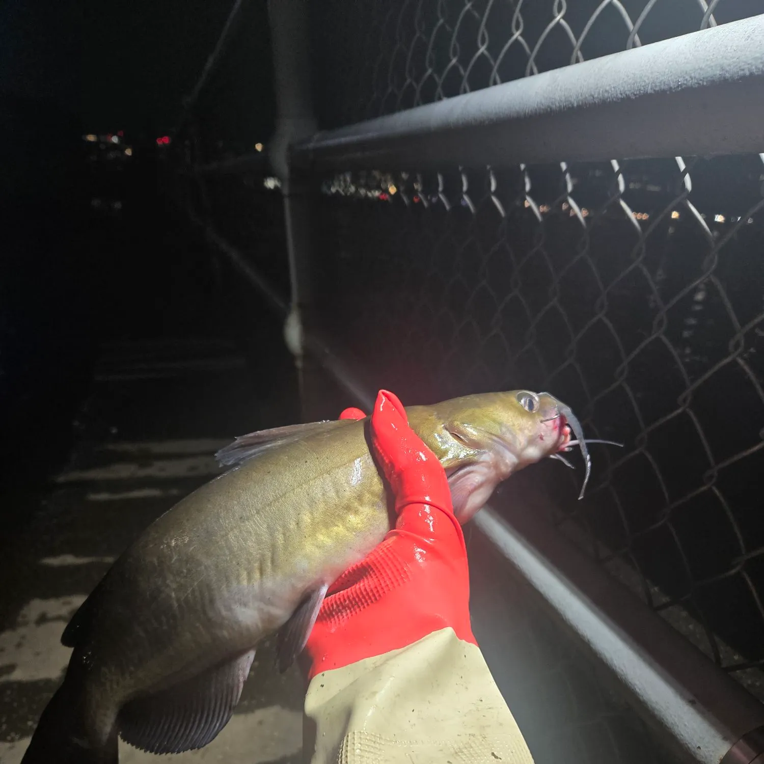catch