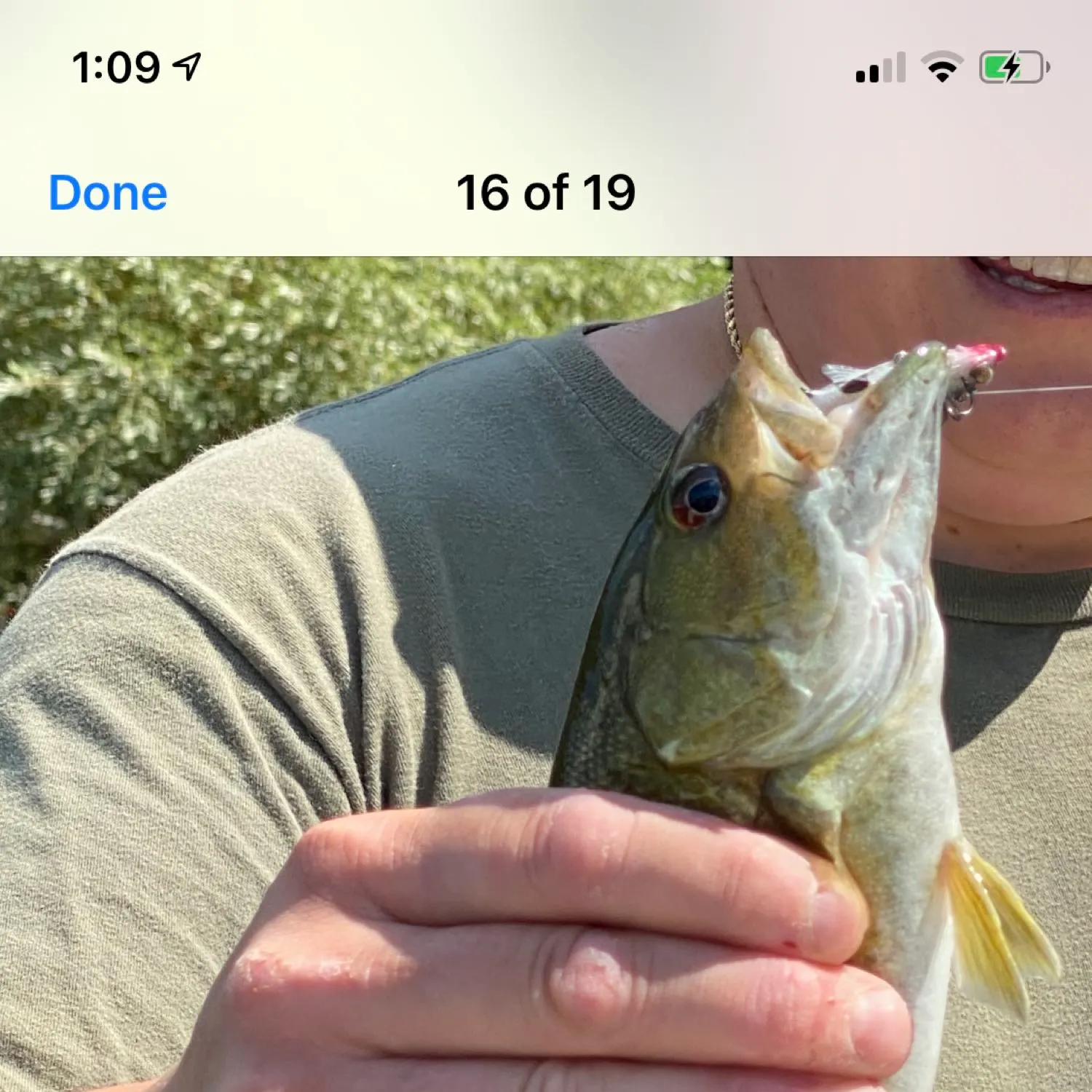 recently logged catches