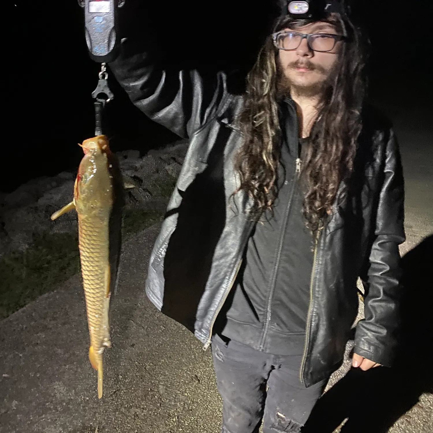 Common carp caught on Fishbrain