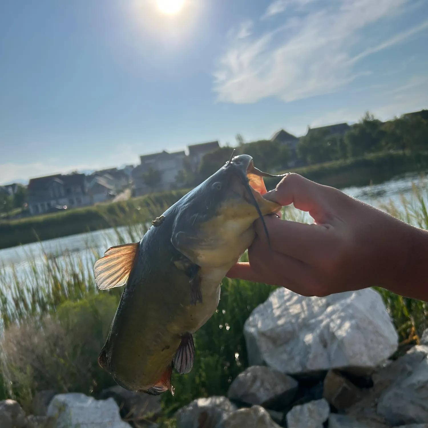 catch