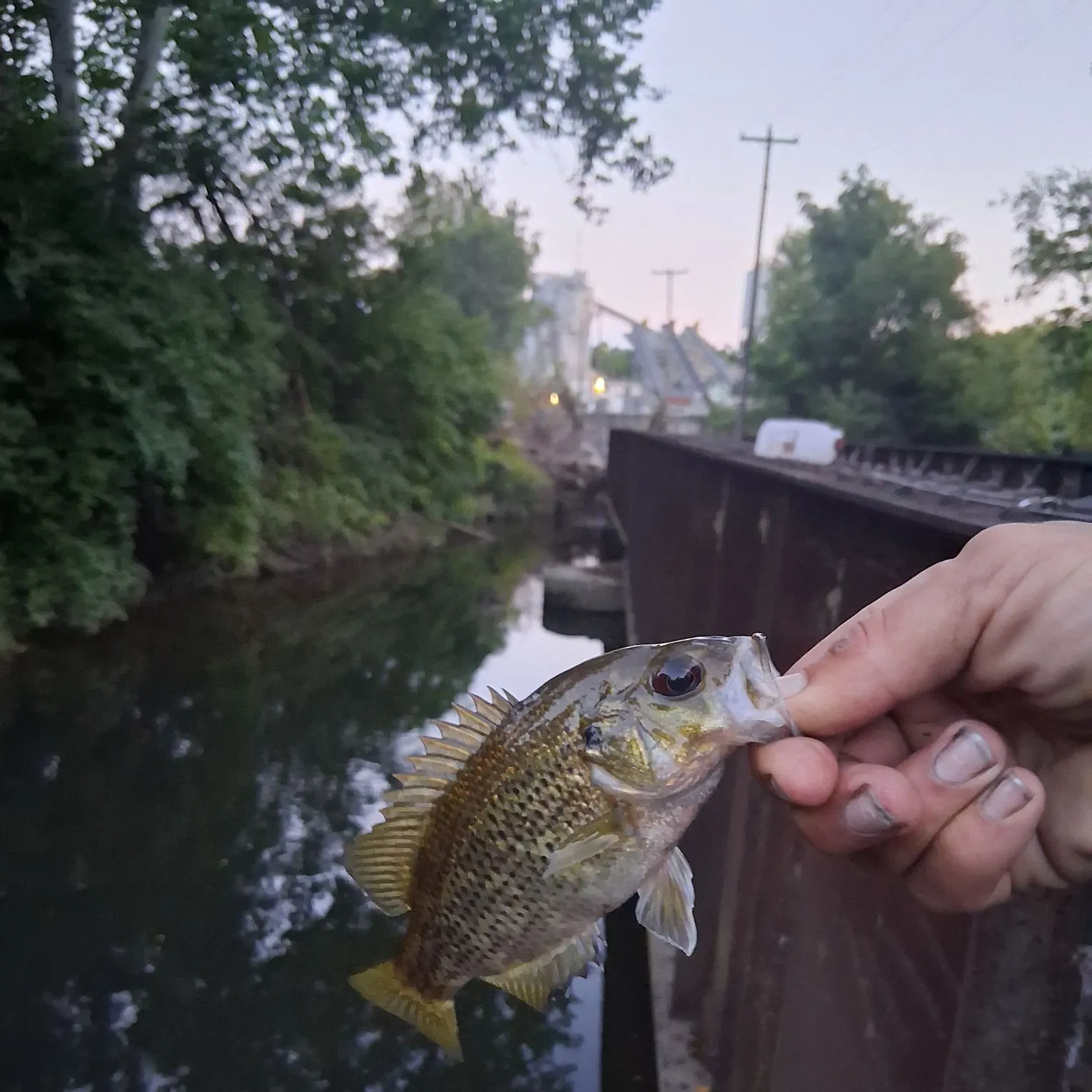 catch