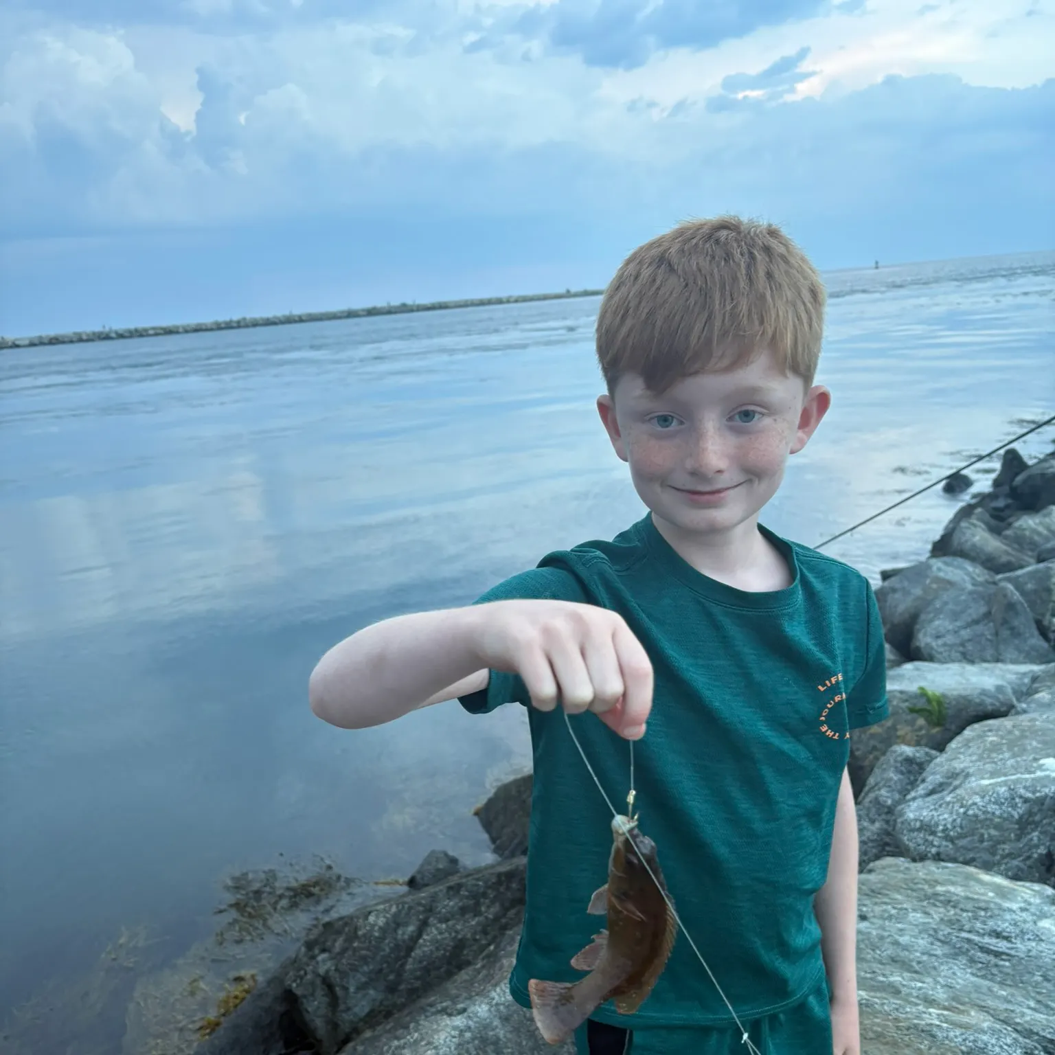 The most recent Cunner catches on Fishbrain