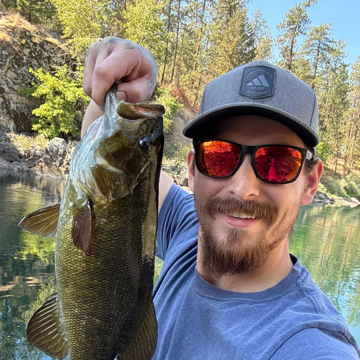 Smallmouth bass caught on Fishbrain