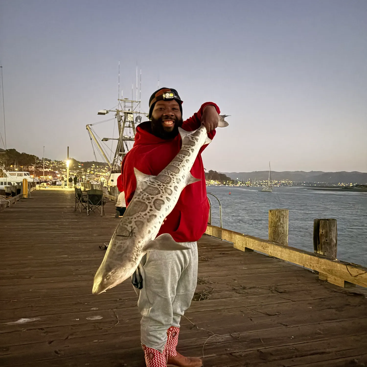 Leopard shark caught on Fishbrain