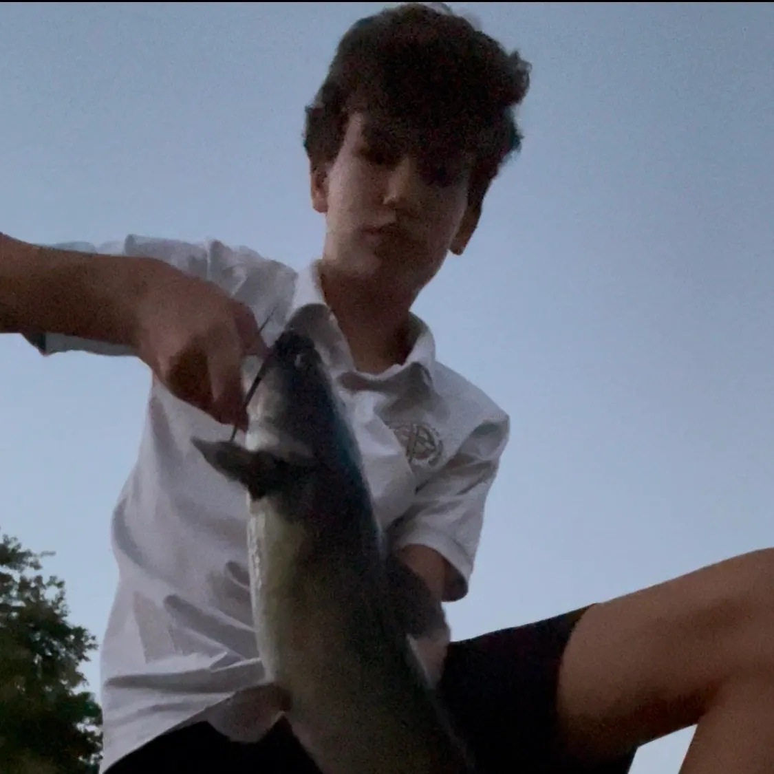 Channel catfish caught on Fishbrain