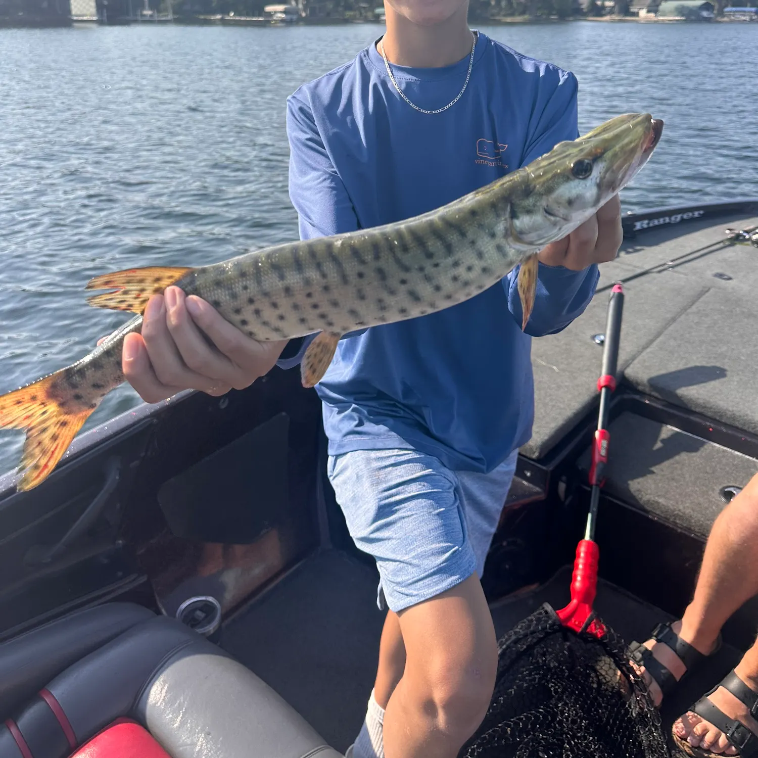 The most recent Muskellunge catches on Fishbrain