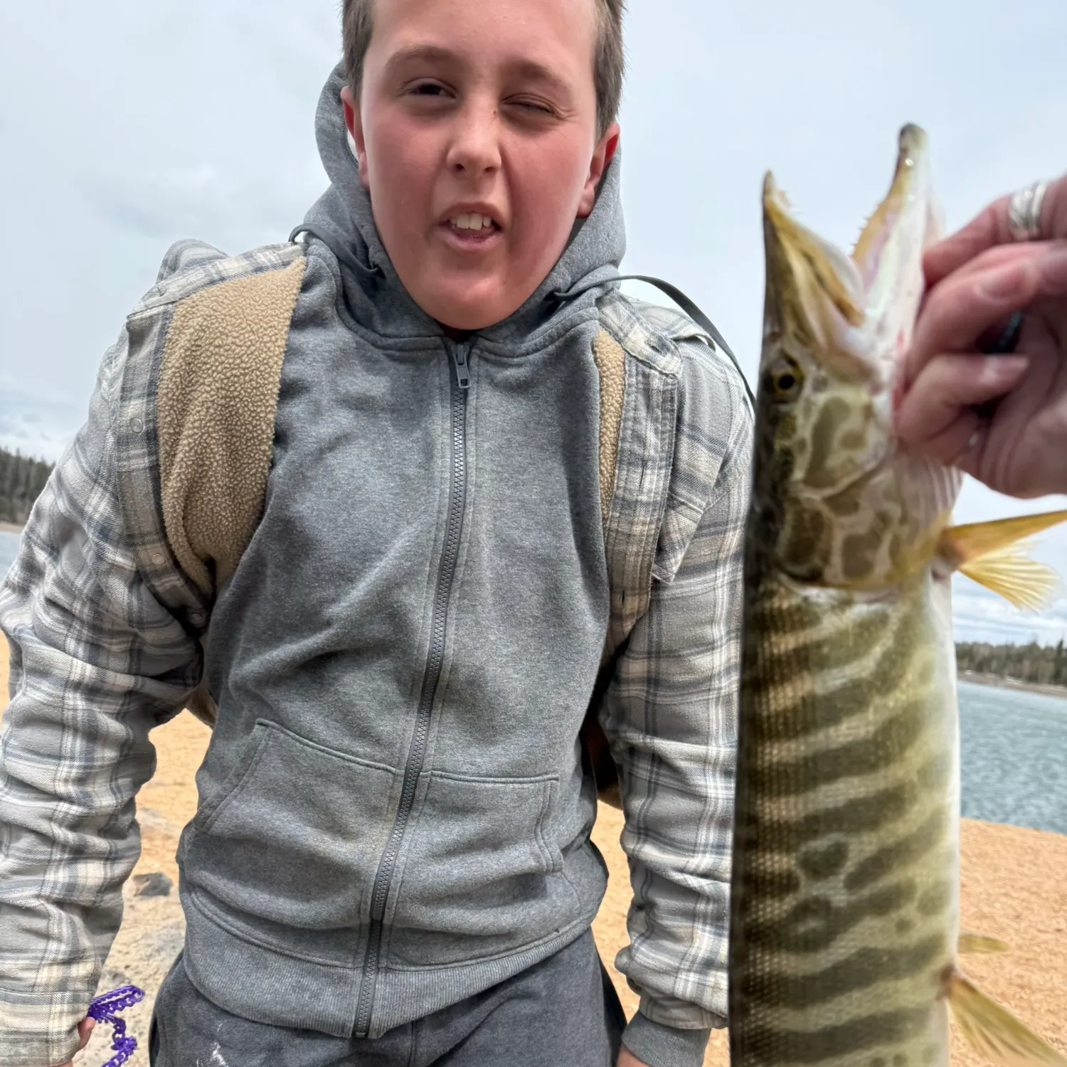 The most recent Tiger muskellunge catches on Fishbrain