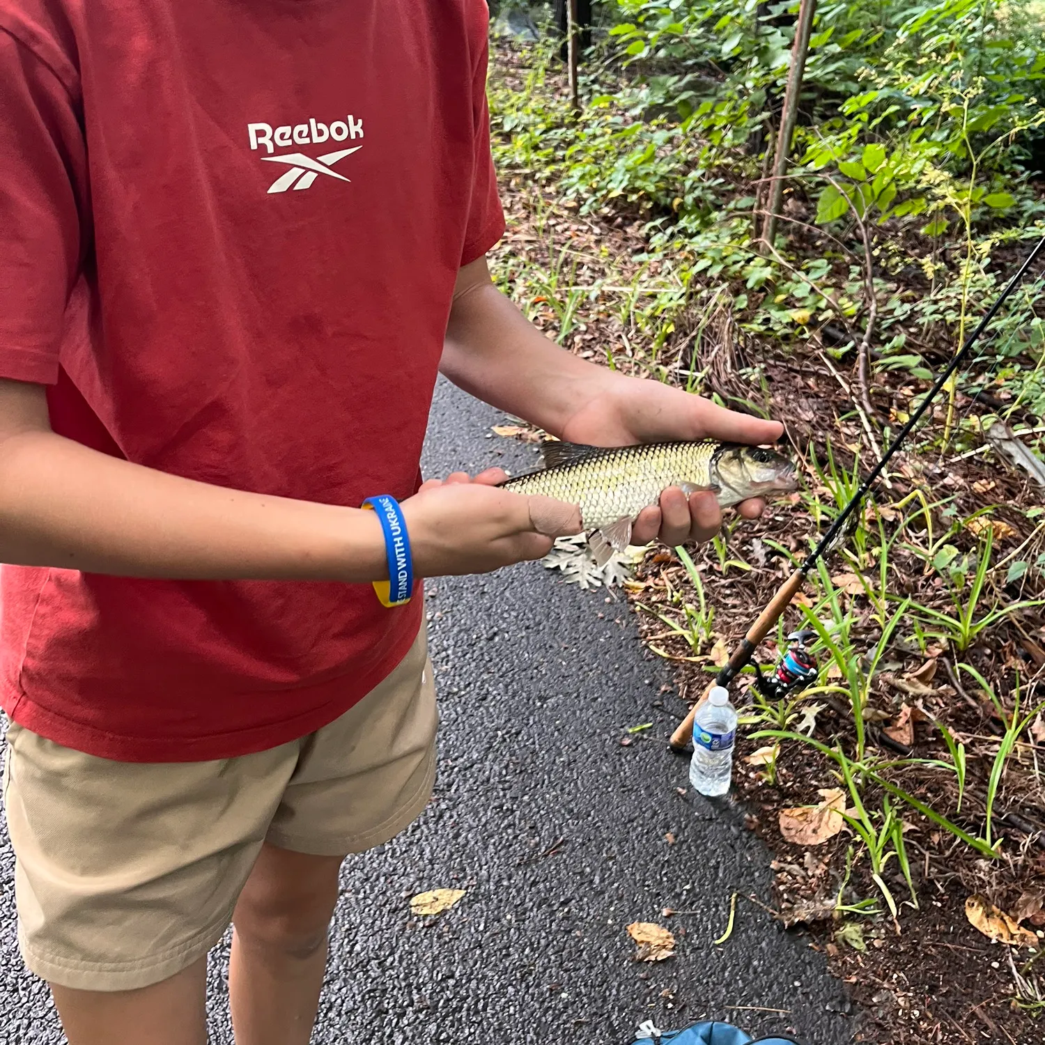 Fallfish caught on Fishbrain