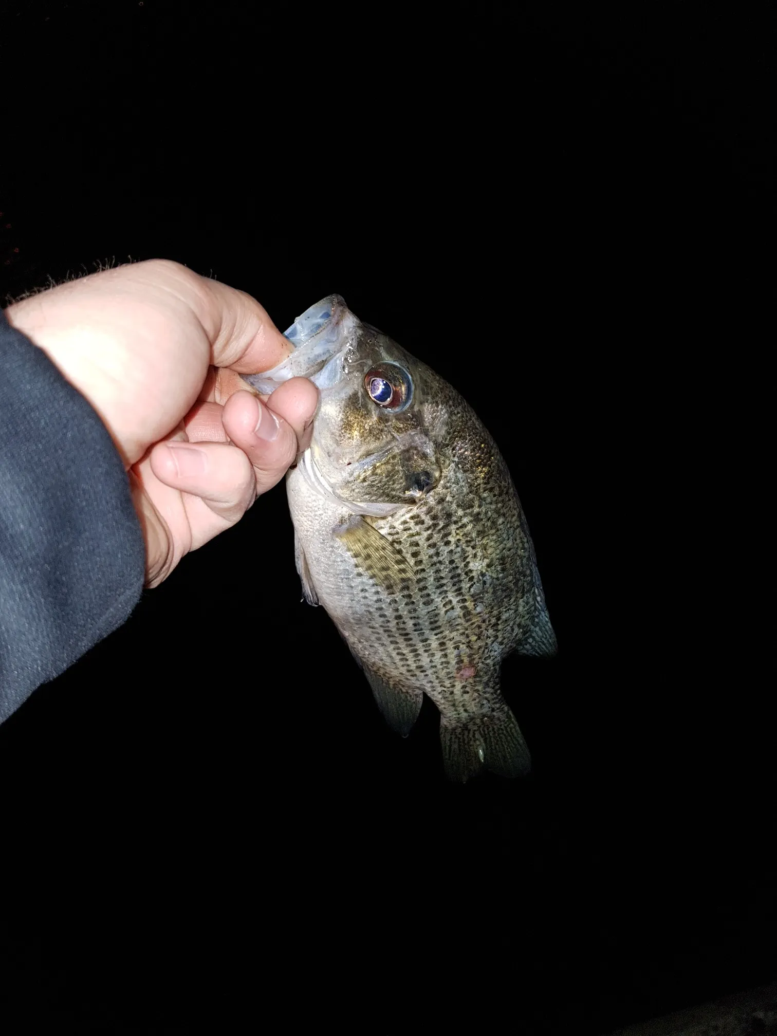 Post image from Mad-Mike