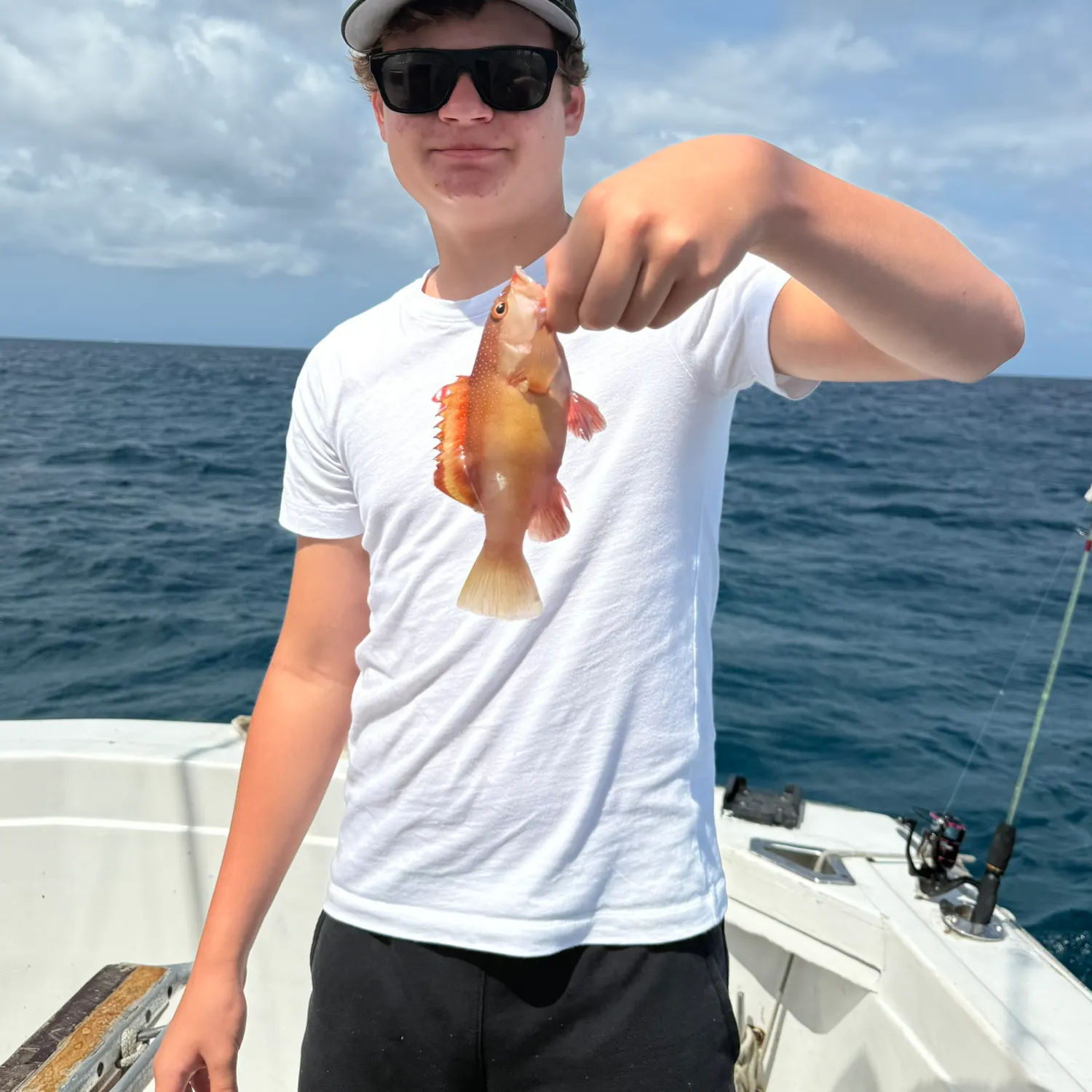 The most recent Red hind grouper catches on Fishbrain