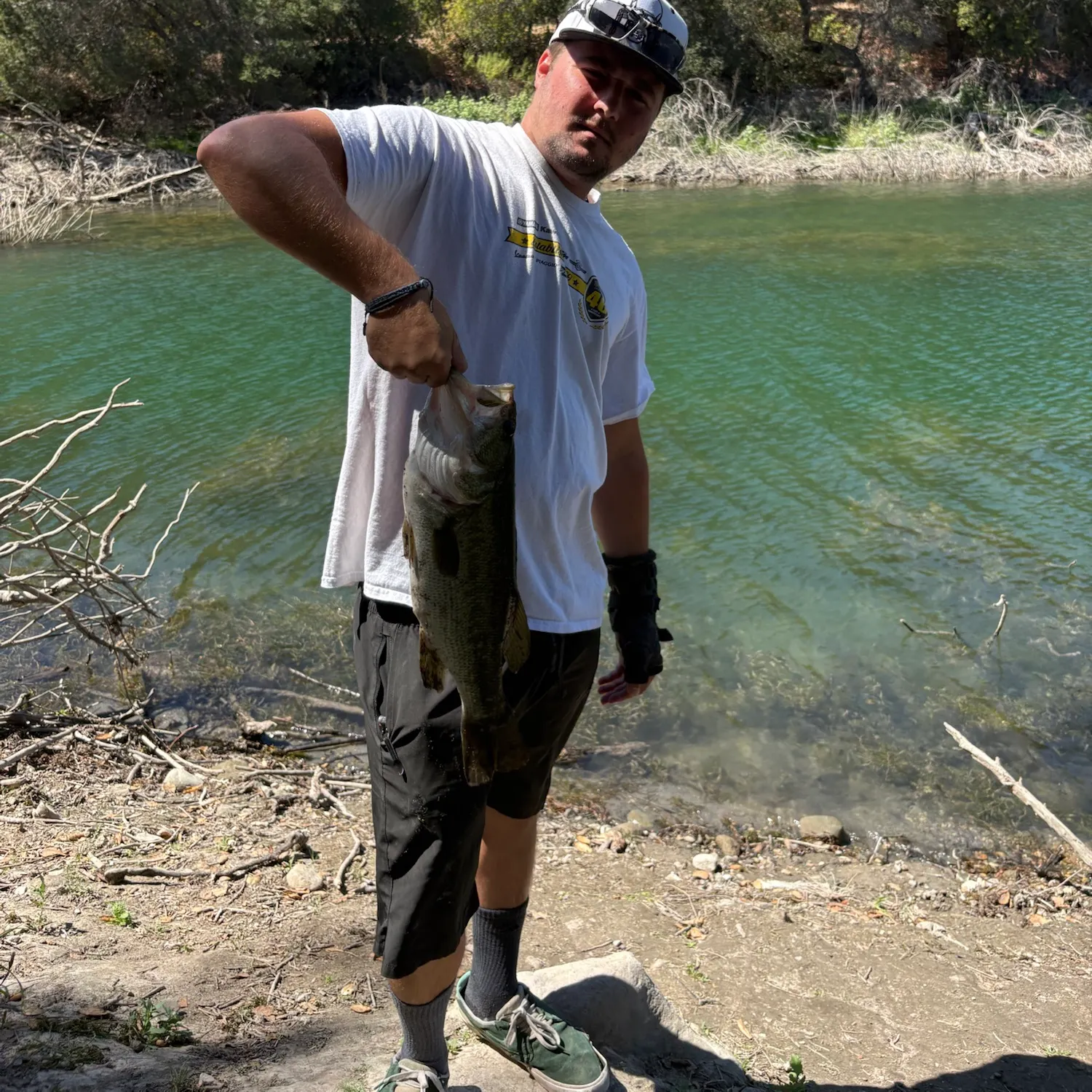 Largemouth bass caught on Fishbrain