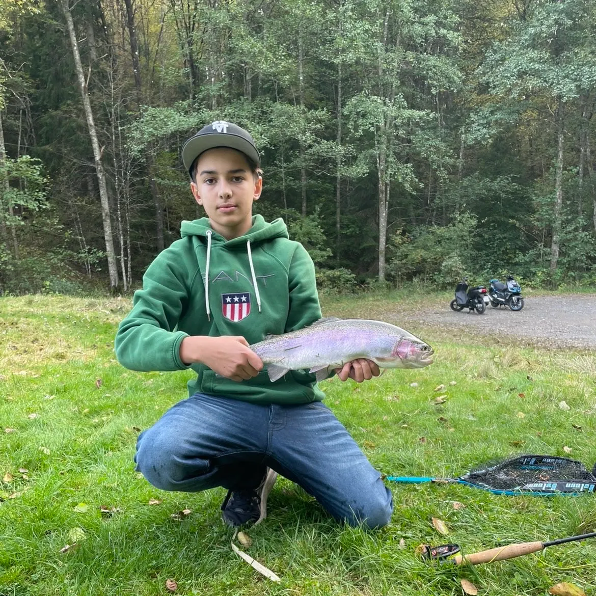 Rainbow trout caught on Fishbrain