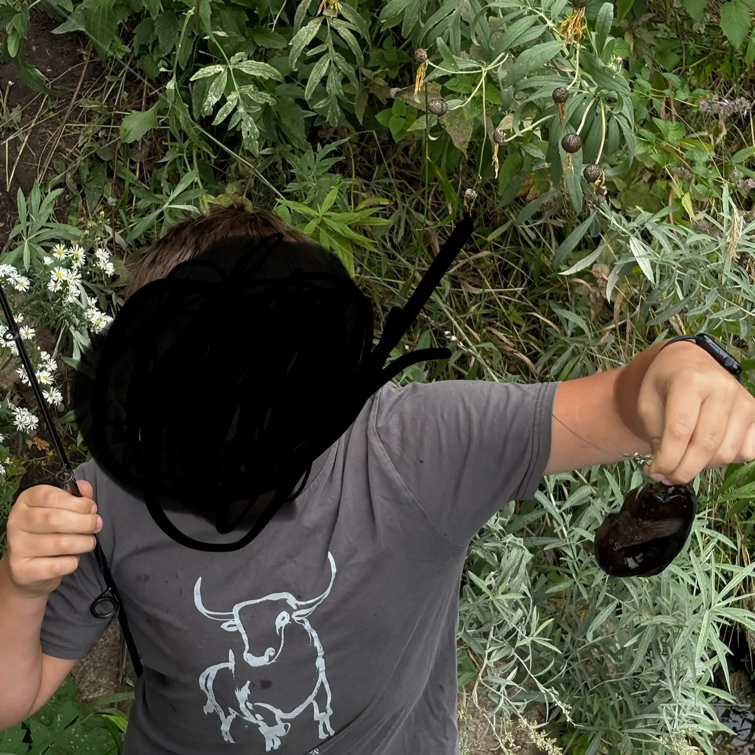 Brown bullhead caught on Fishbrain