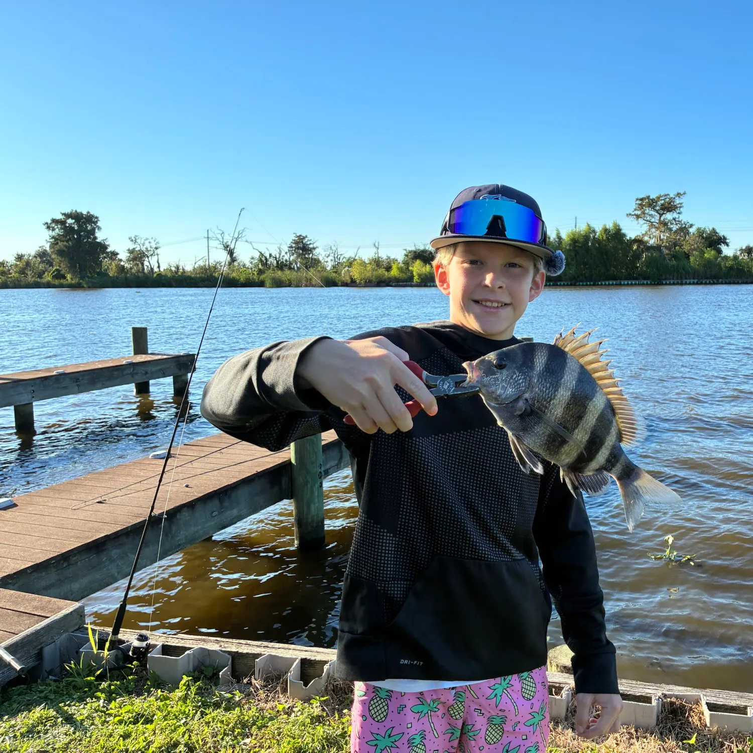 Sheepshead caught on Fishbrain