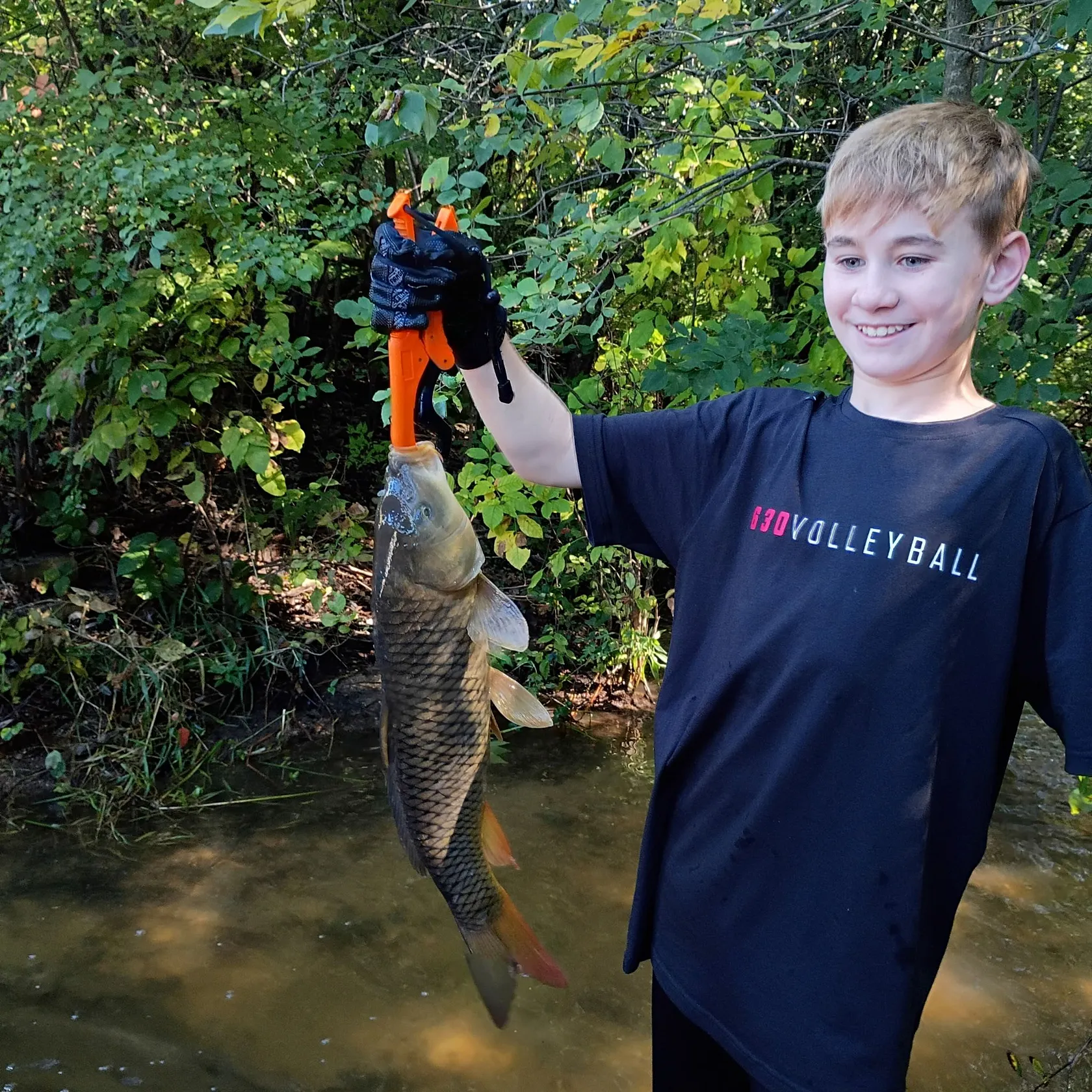 Common carp caught on Fishbrain