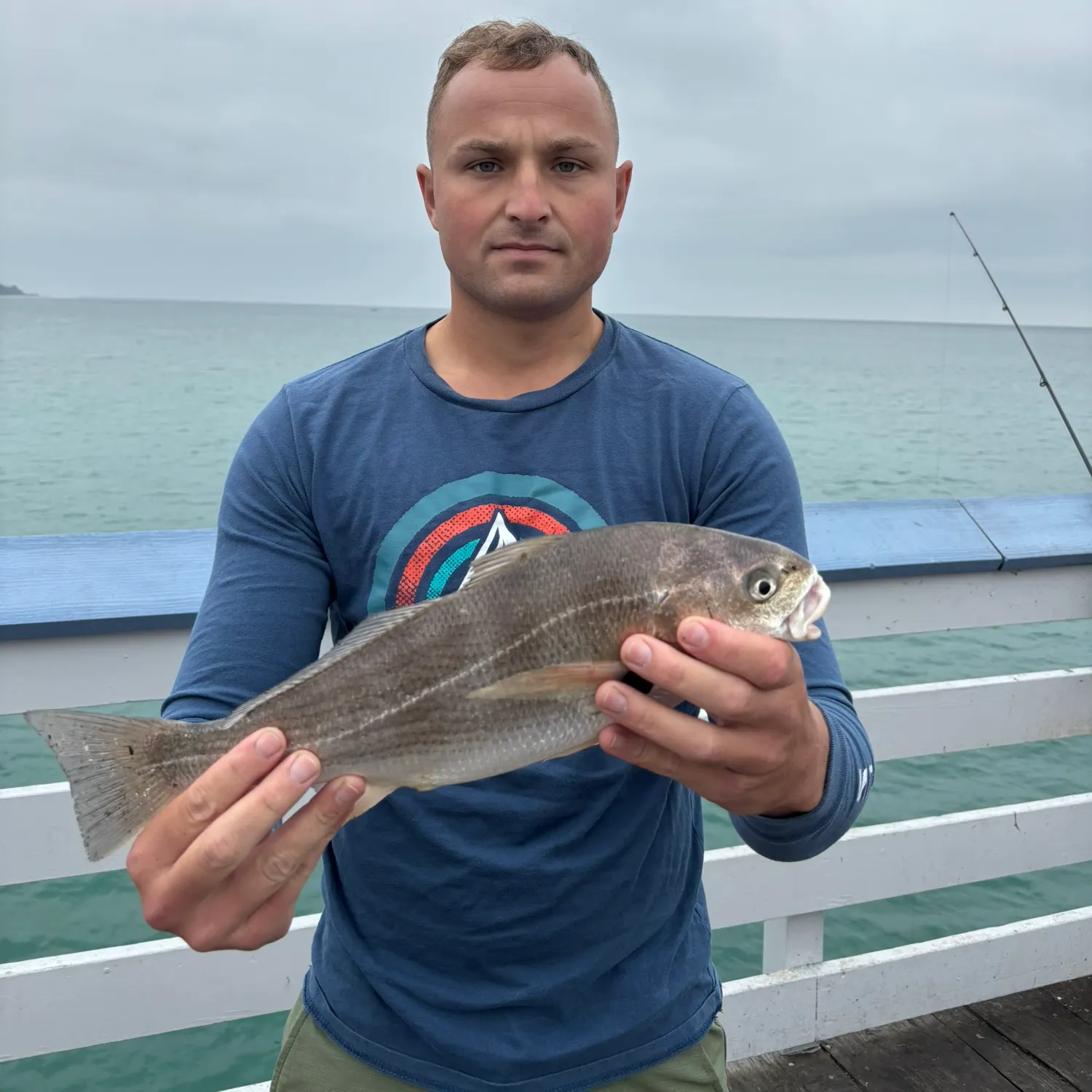 The most recent White croaker catches on Fishbrain