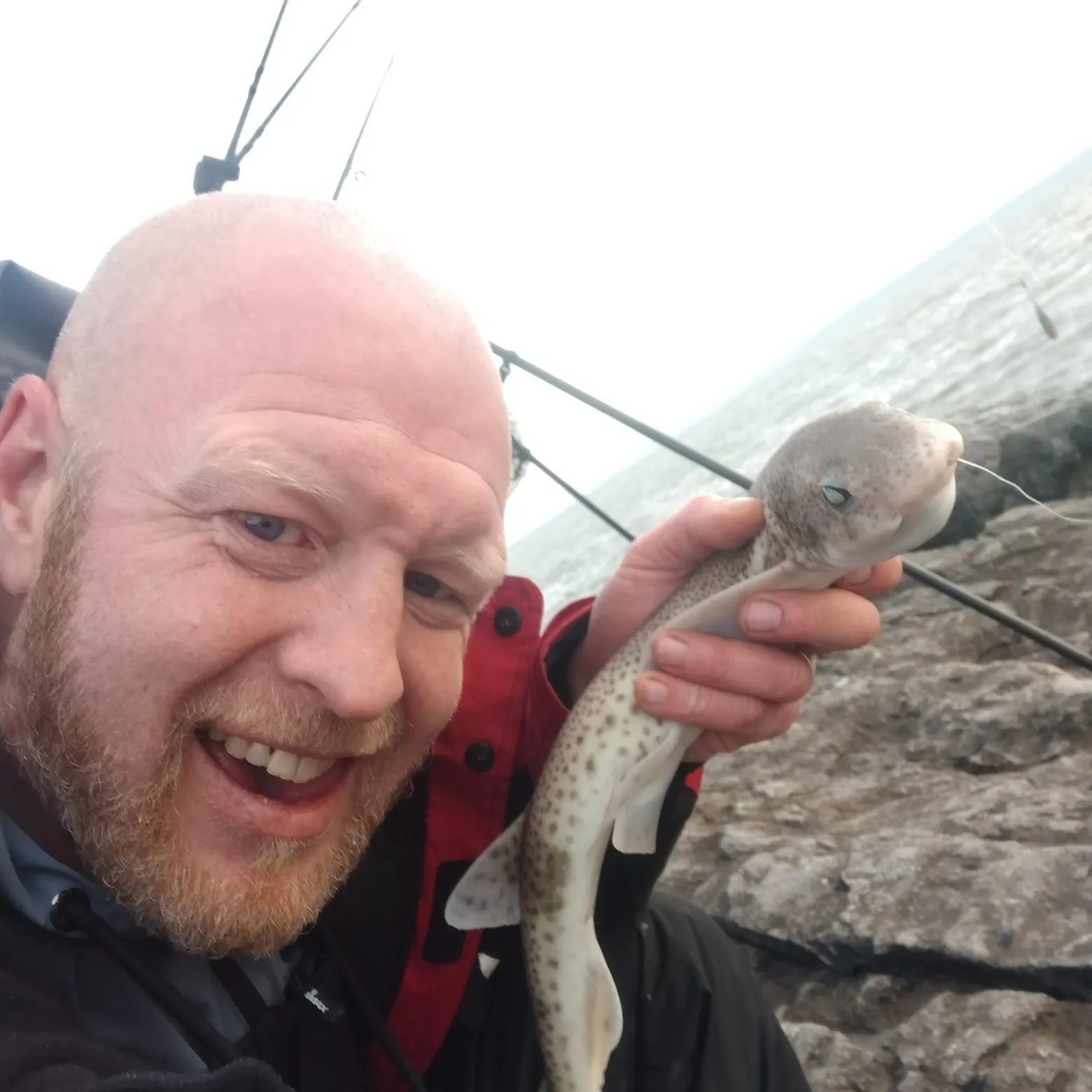 The most recent Lesser spotted dogfish catches on Fishbrain