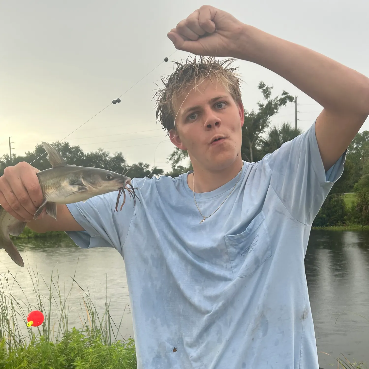 Channel catfish caught on Fishbrain