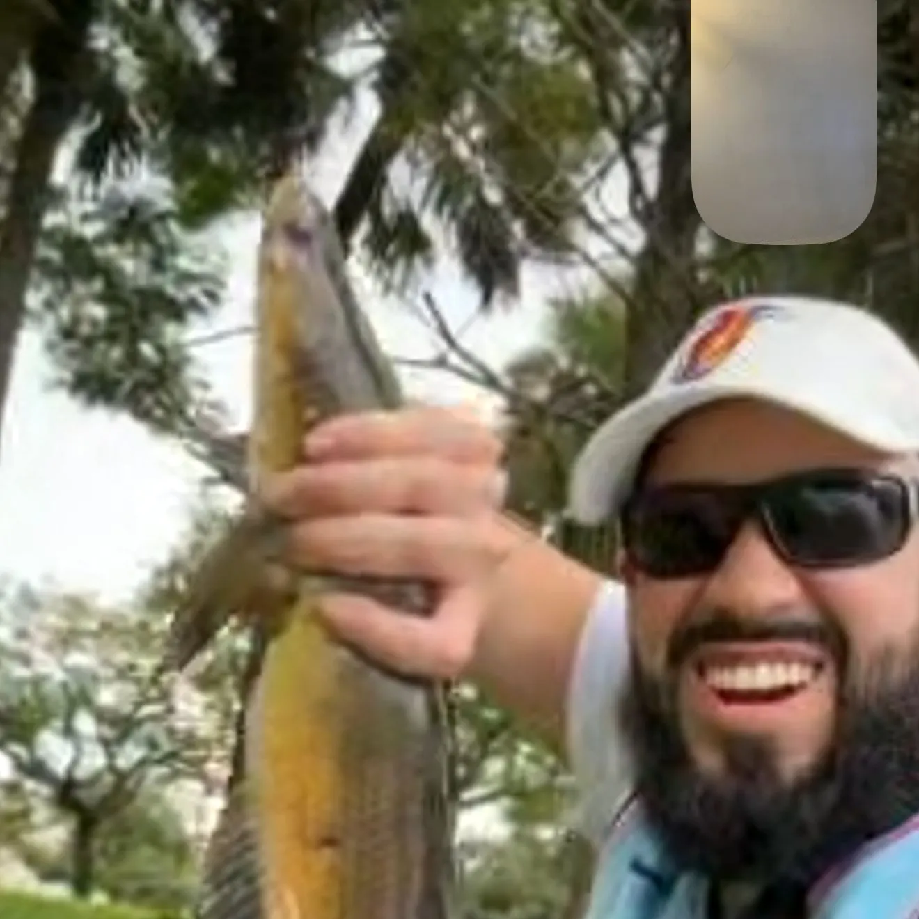 Bullseye snakehead caught on Fishbrain