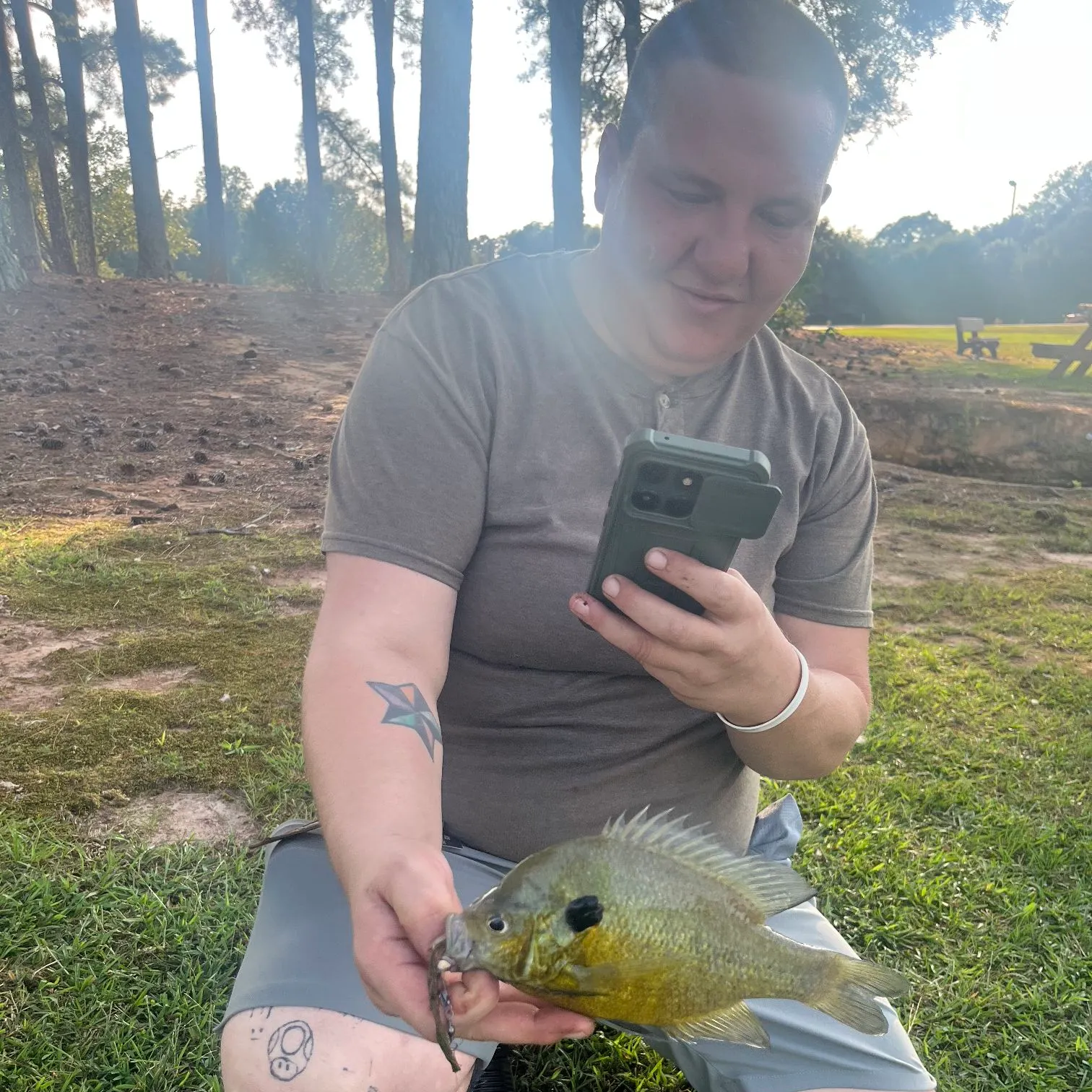 Bluegill caught on Fishbrain