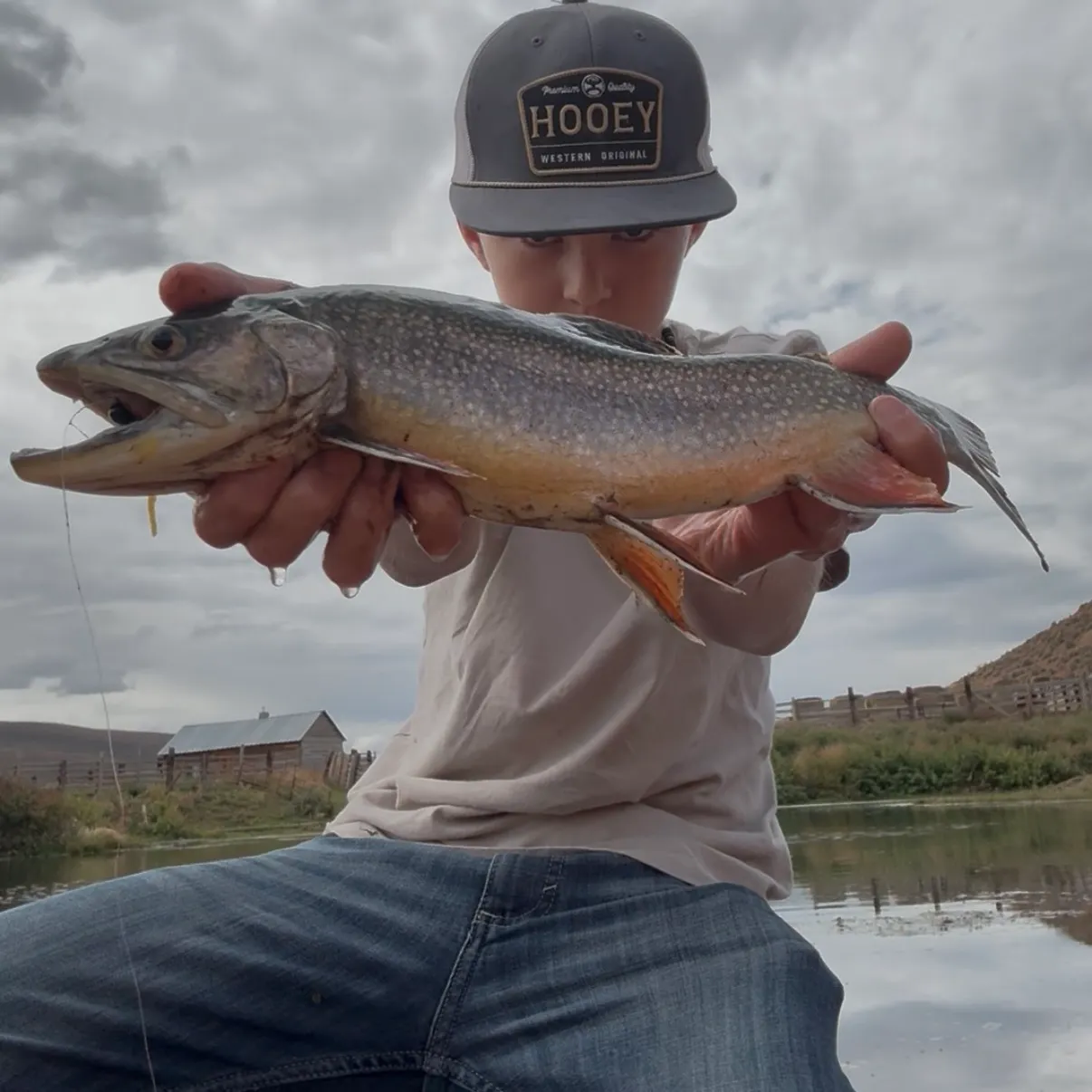 The most recent Brook trout catches on Fishbrain