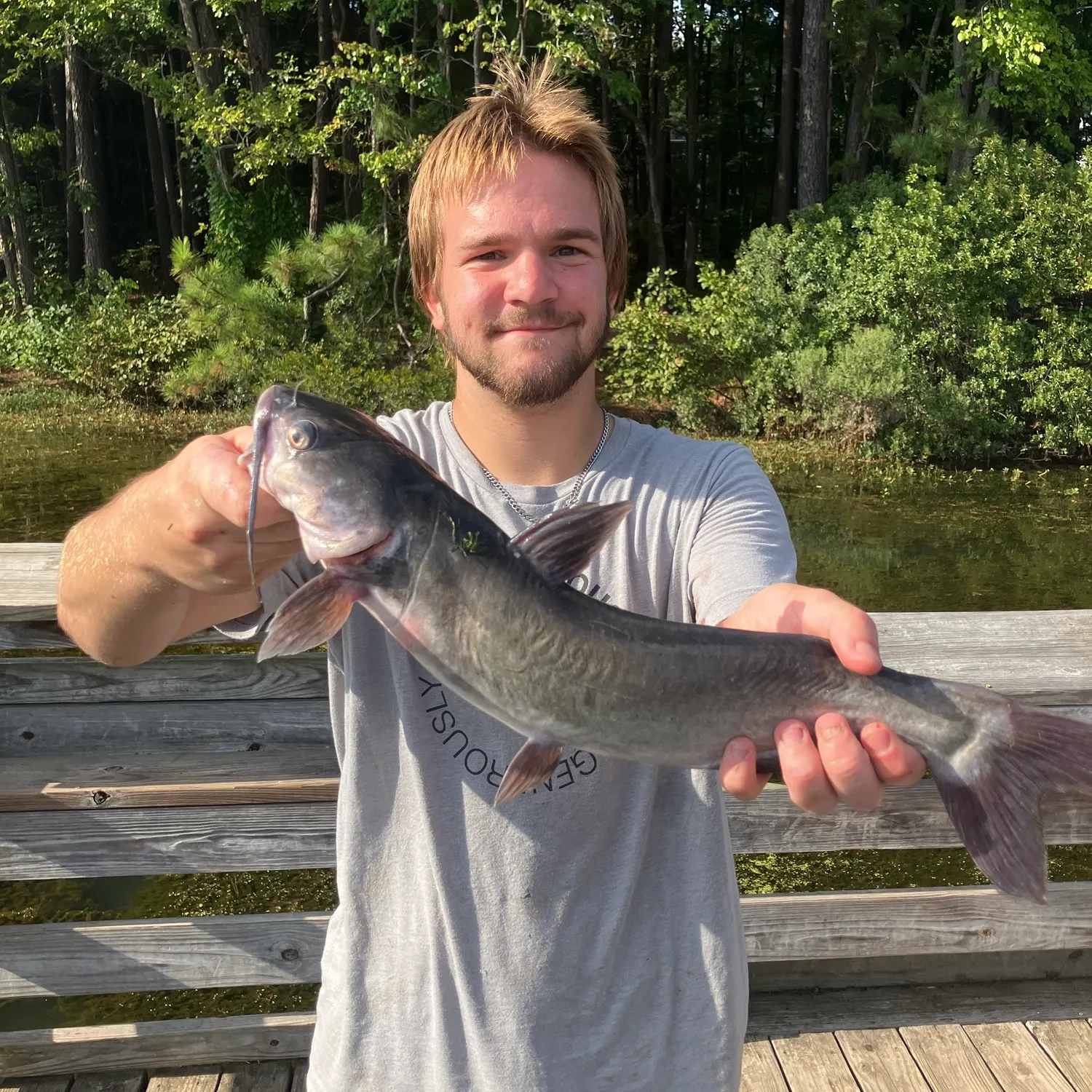 Channel catfish caught on Fishbrain