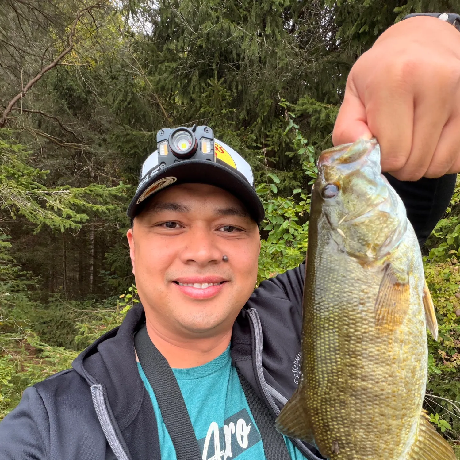 Smallmouth bass caught on Fishbrain