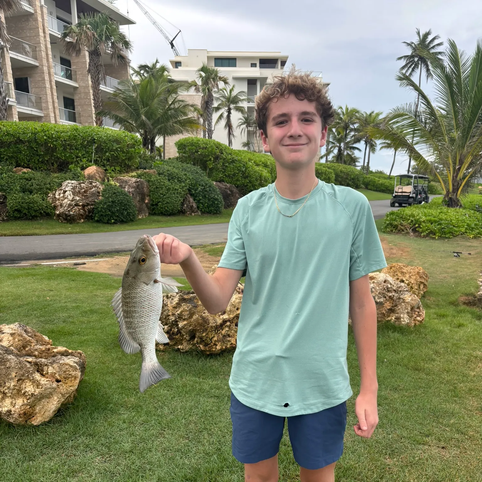 The most recent Mangrove snapper catches on Fishbrain