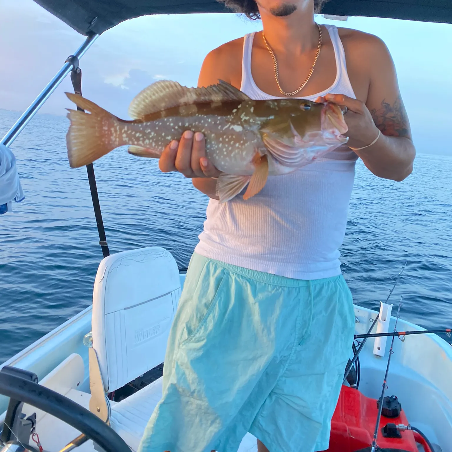 The most recent Red grouper catches on Fishbrain