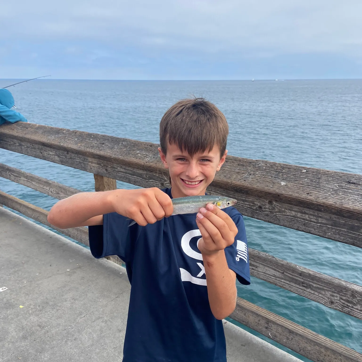 The most recent Surf smelt catches on Fishbrain